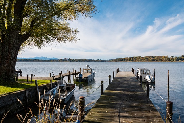 篮球比赛的 篮球比赛的