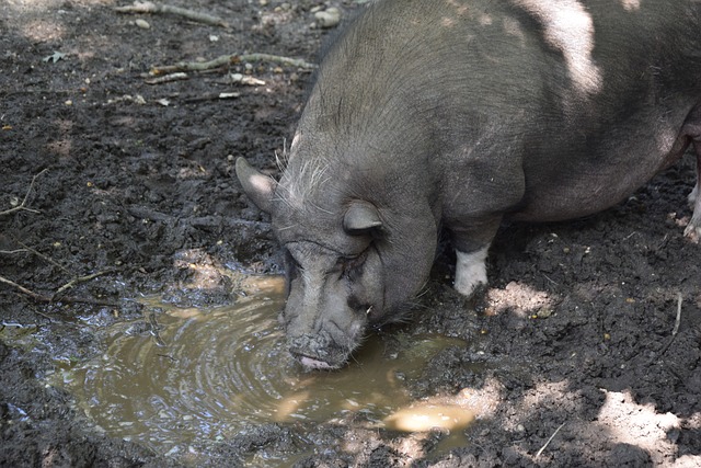不仅能够快 不仅能够快