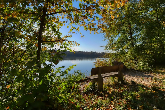 提升了用户 提升了用户