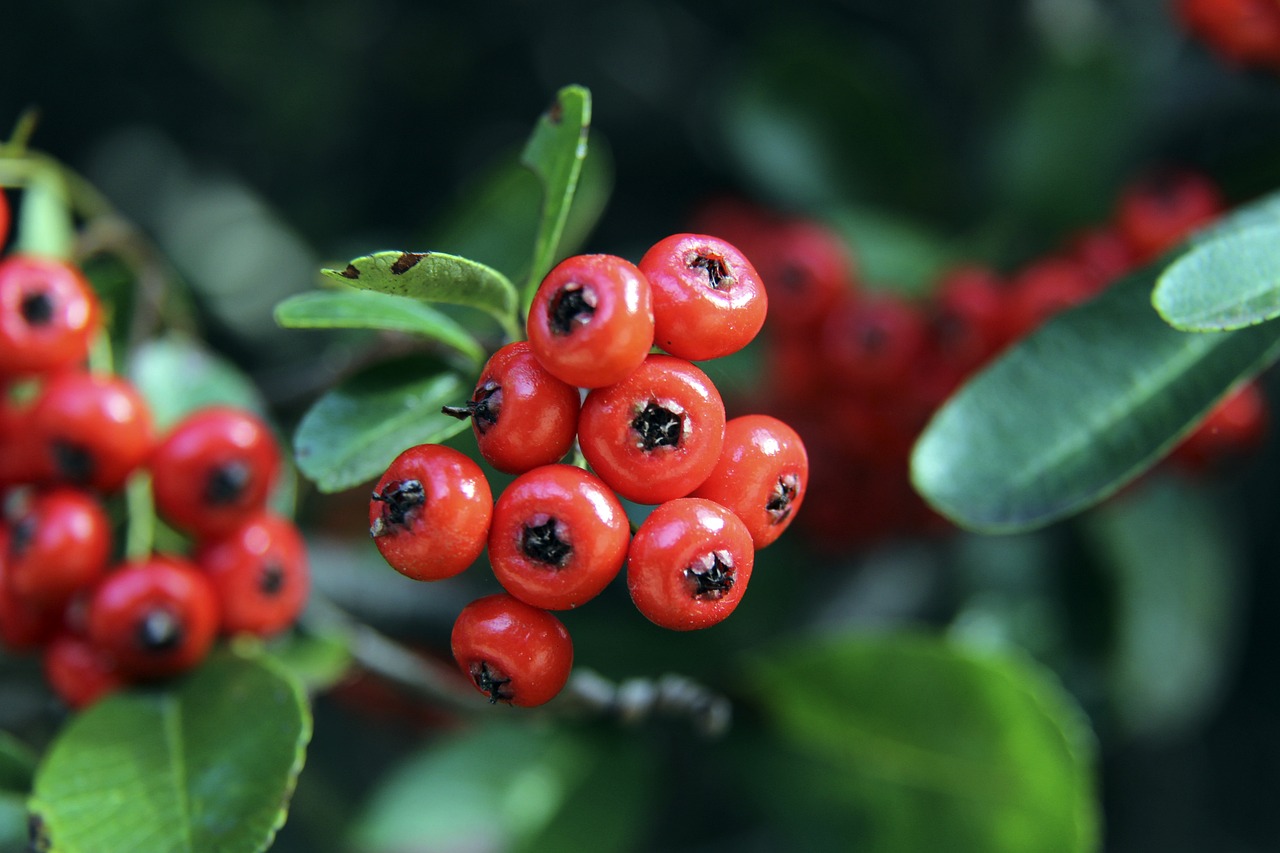 这种影响力 这种影响力