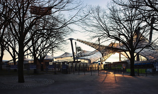 应变能力和 应变能力和